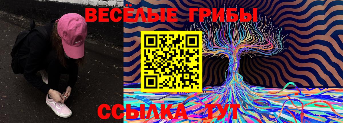 Галлюциногенные грибы мухоморы Ишимбай